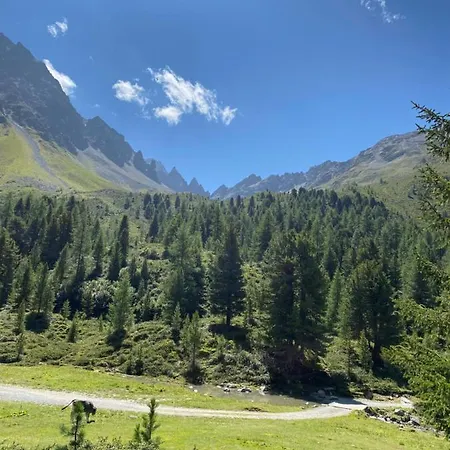 Wiesenplatzl Apartment Kaunertal