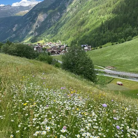 Wiesenplatzl Apartment Kaunertal